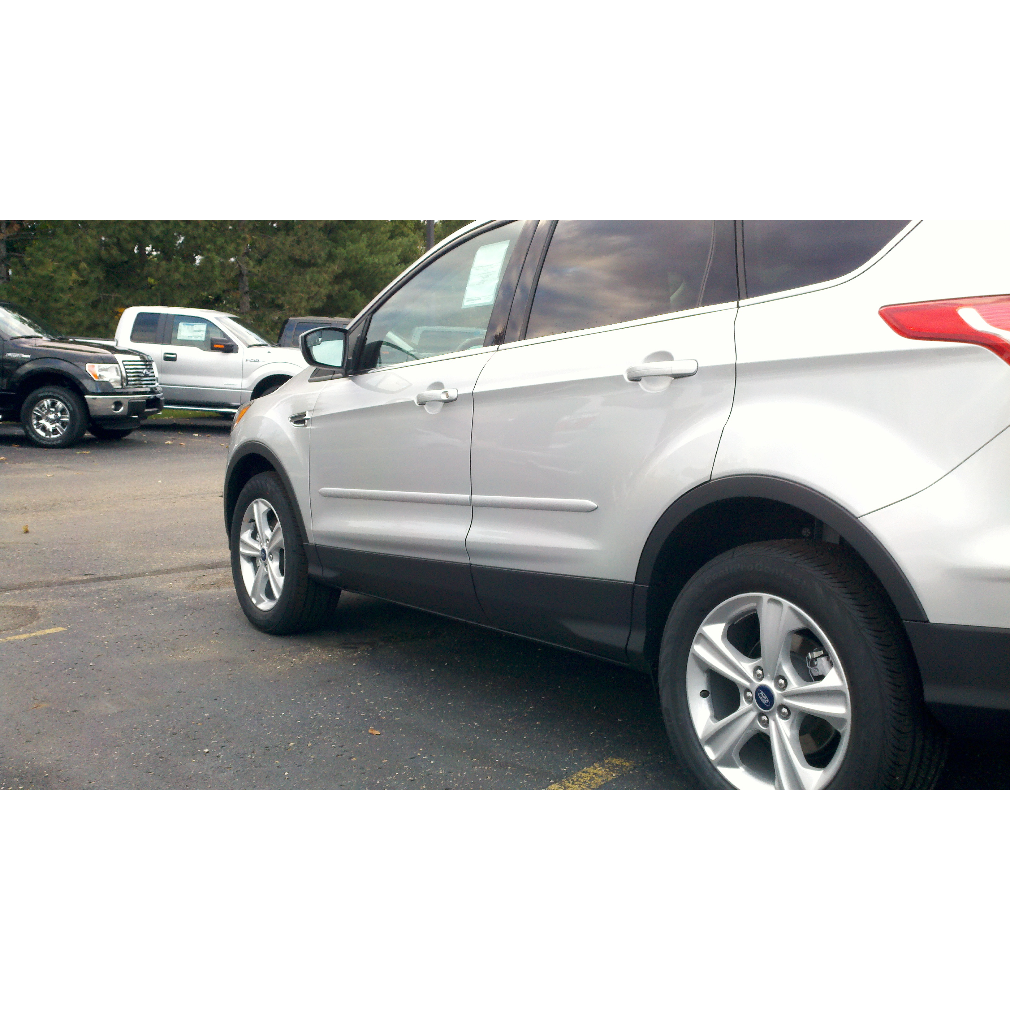 Ford Escape 2013 Painted Body Side Moldings - Spoiler and Wing King
